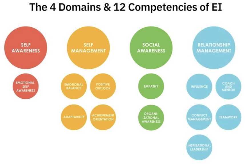 4 domains &amp; 12 competencies of EI